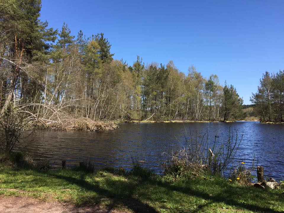 schwennigermoos2